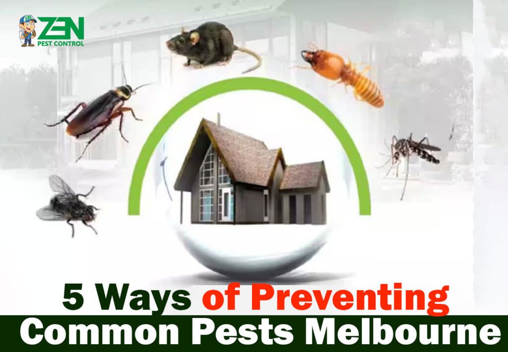 -Summer Pest Control Melbourne: 5 Protection tips for Your Home