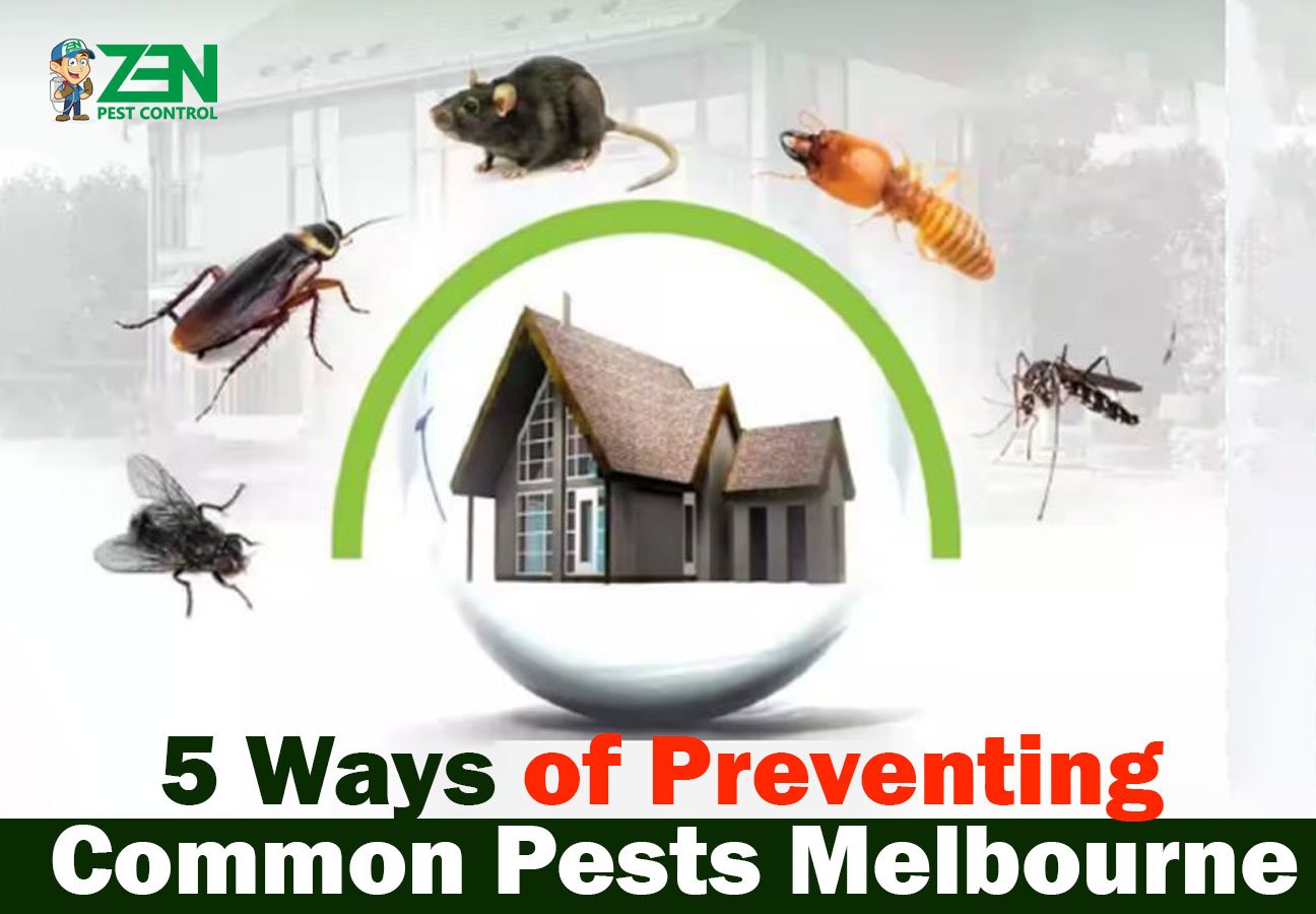 Summer Pest Surge in Melbourne: How to Protect Your Home the “Zen” Way