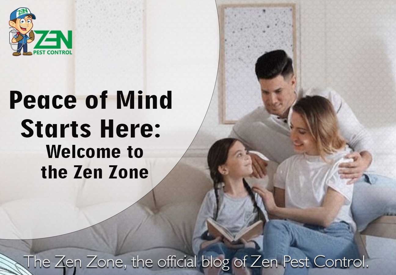 5 Best Ways for Professional Pest Control Melbourne