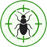 Cockroach-control-glenroy
