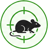 Rodent control glenroy