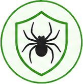 spider-control-Glenroy