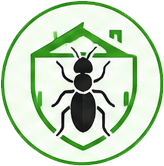termite treatment glenroy