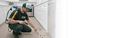 pest-control-melbourne